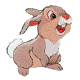 Cute Bunny