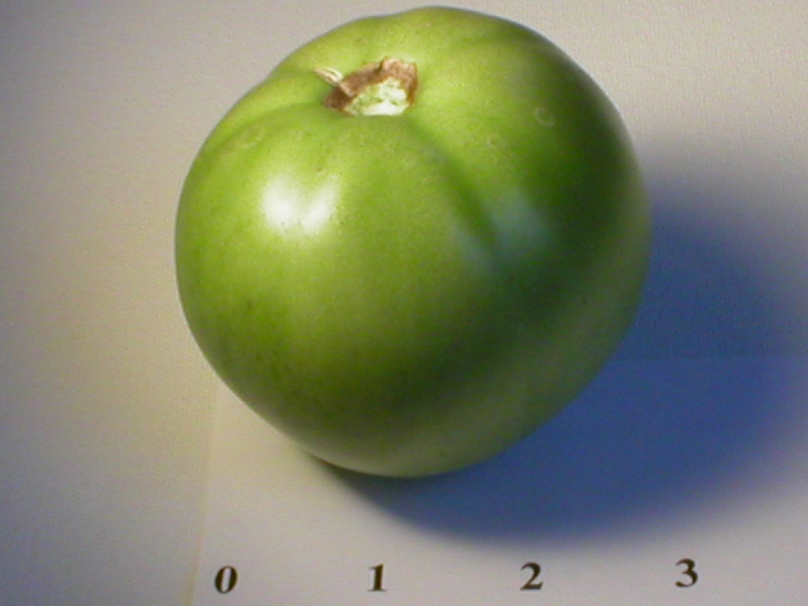 Green Tomato