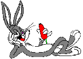 Wiseass Bunny